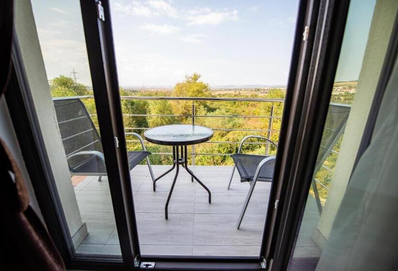 Номер Deluxe Одноместный, Pensiunea Carul Cu Flori