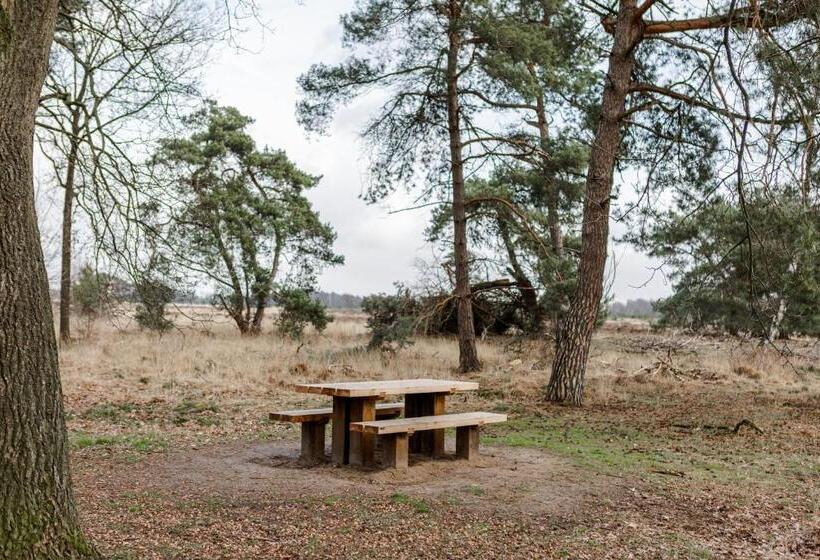 带花园景观的标准工作室, B&b Studiolke