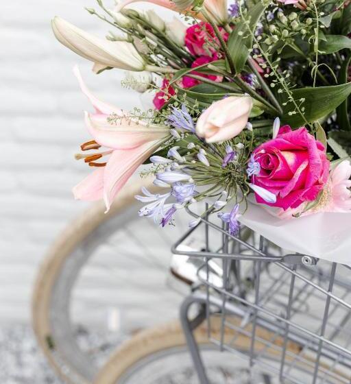 带花园景观的标准工作室, B&b Studiolke