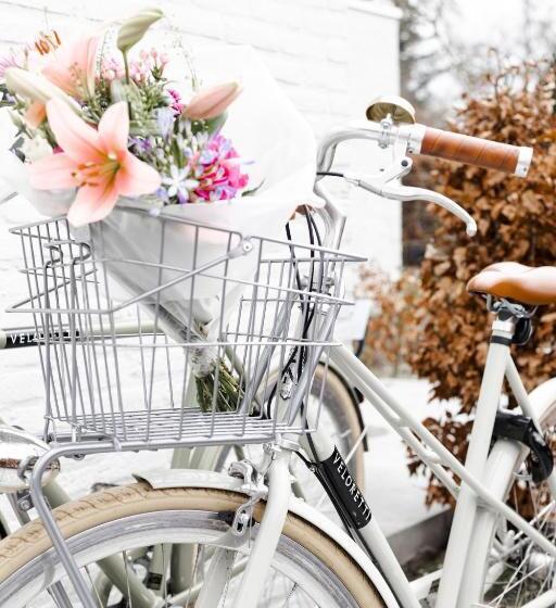 带花园景观的标准工作室, B&b Studiolke