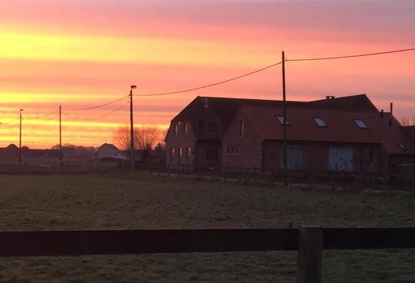 ガーデンビュースタンダードルーム, Hof Ter Dreef