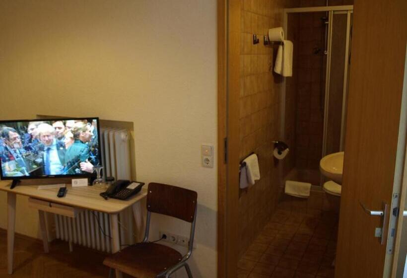 חדר סטנדרט יחיד, Villa Arnold