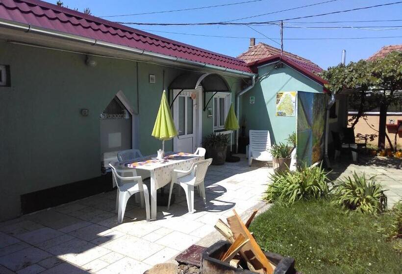 家庭套房, Hostel Pascalis Alesd