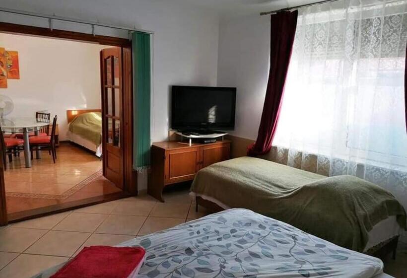 家庭工作室, Hostel Pascalis Alesd