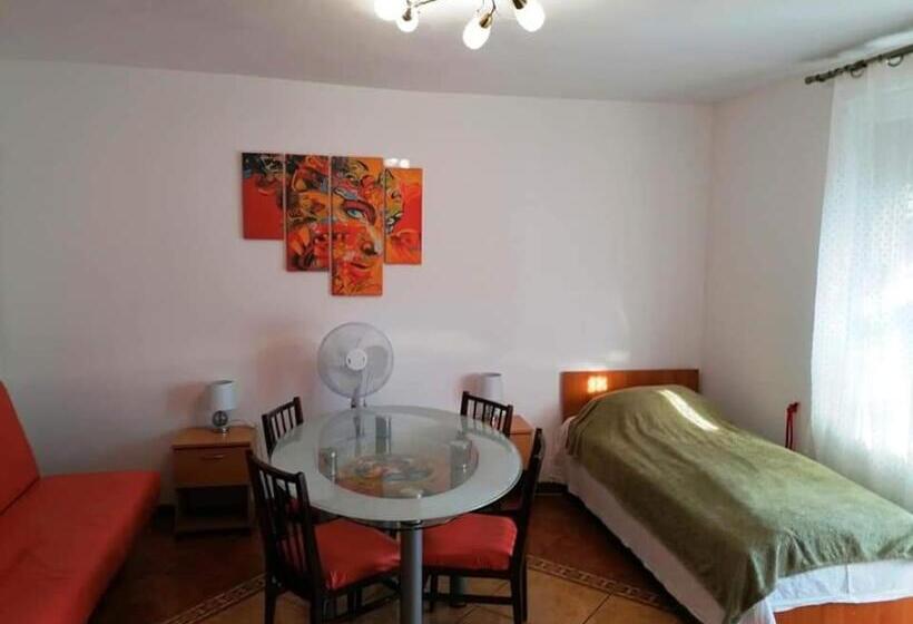 家庭工作室, Hostel Pascalis Alesd