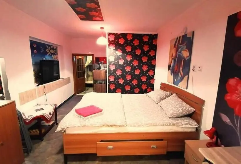テラス付きスタンダードルーム, Hostel Pascalis Alesd