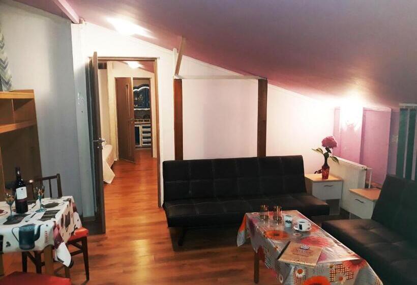 家庭工作室, Hostel Pascalis Alesd