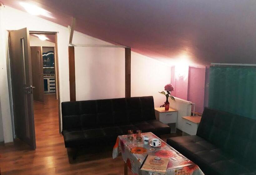 패밀리 스튜디오, Hostel Pascalis Alesd