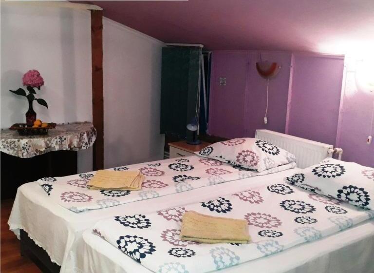 家庭工作室, Hostel Pascalis Alesd