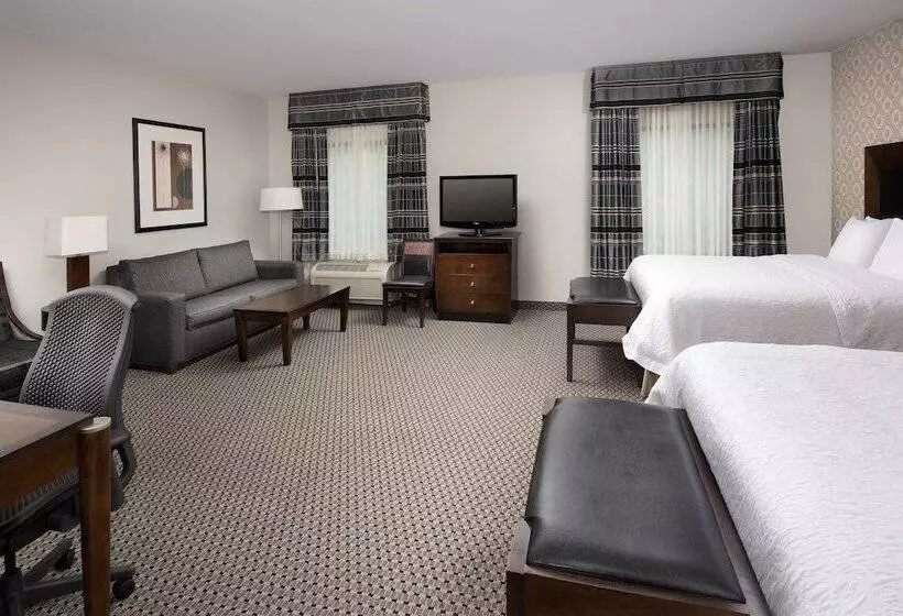 スタンダードルーム, Hampton Inn & Suites Athens I 65