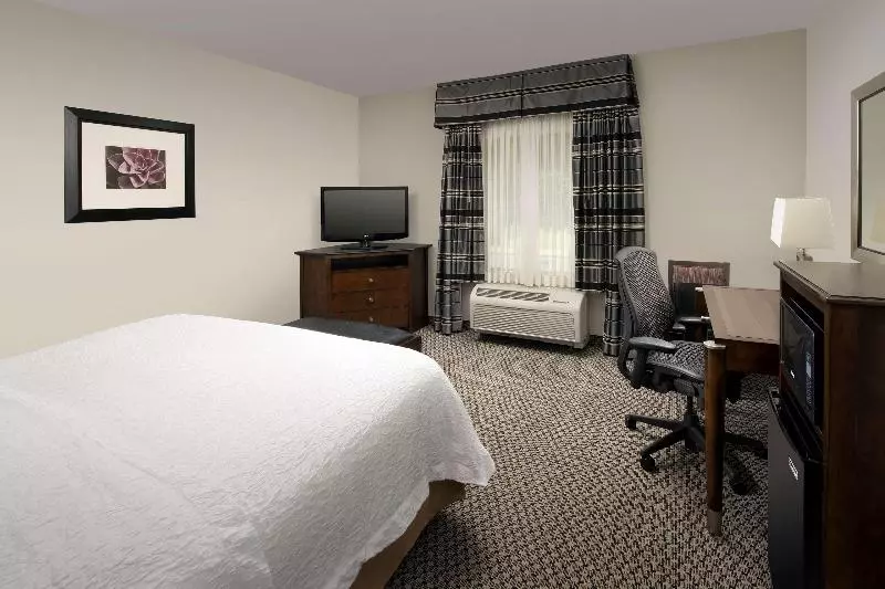 キングサイズベッドのスタンダードルーム, Hampton Inn & Suites Athens I 65