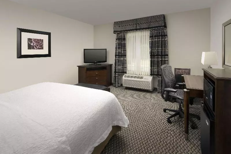 キングサイズベッドのスタンダードルーム, Hampton Inn & Suites Athens I 65