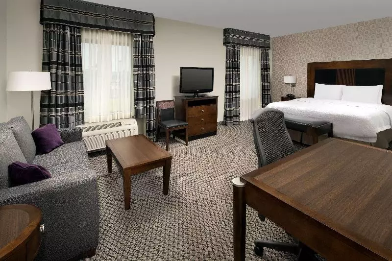 キングサイドベッドのスタンダードワンルーム, Hampton Inn & Suites Athens I 65