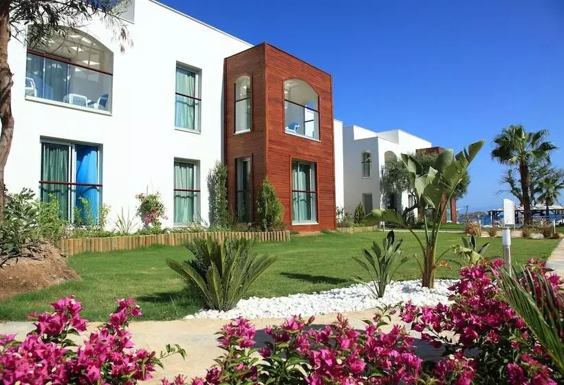 Standard-huone, Costa Luvi