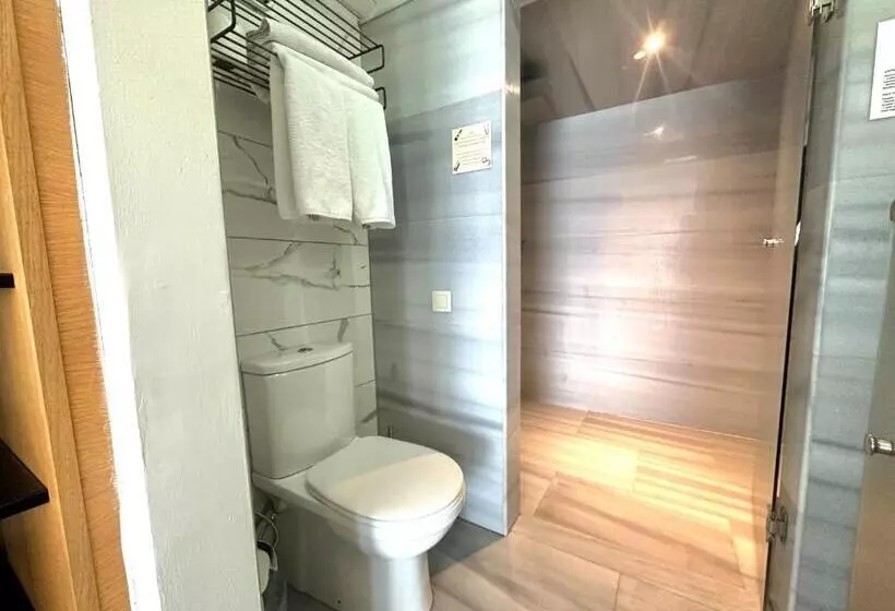 سوییت جونیور با چشم‌انداز شهر, Faros Hotel Taksim Special Category