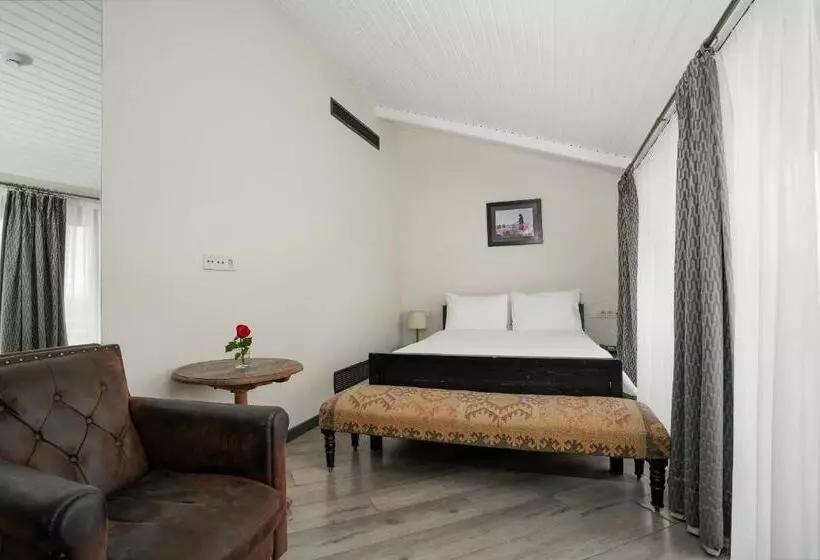 سوییت جونیور با چشم‌انداز شهر, Faros Hotel Taksim Special Category
