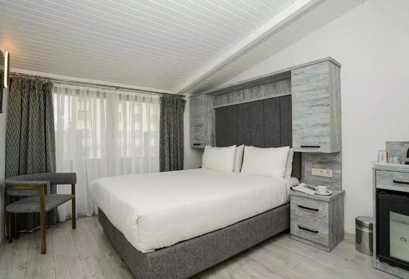 اتاق پنت هاوس, Faros Hotel Taksim Special Category