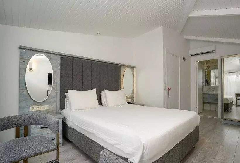 اتاق لوکس, Faros Hotel Taksim Special Category
