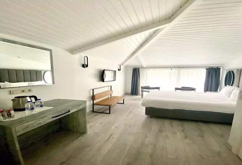 اتاق لوکس, Faros Hotel Taksim Special Category