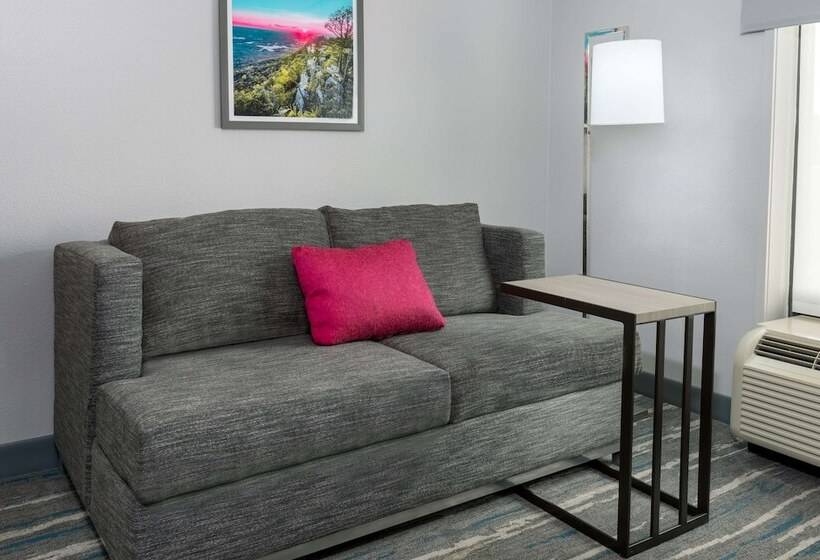 Номер Стандарт, Hampton Inn & Suites Winston Salem/university Area, Nc
