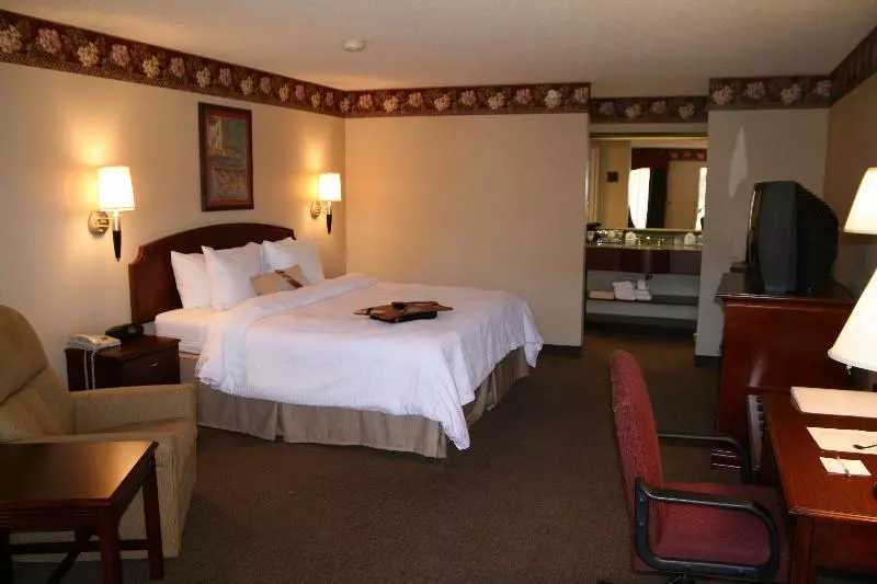 キングサイズベッドのスタンダードルーム, Hampton Inn Dandridge