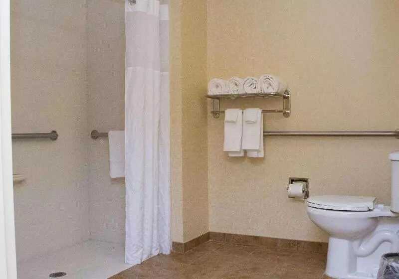 キングサイズベッドのスタンダードルーム, Hampton Inn Dandridge