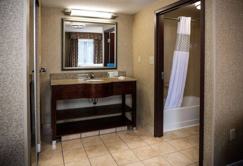 Студия Стандарт, Hampton Inn & Suites Toledoperrysburg