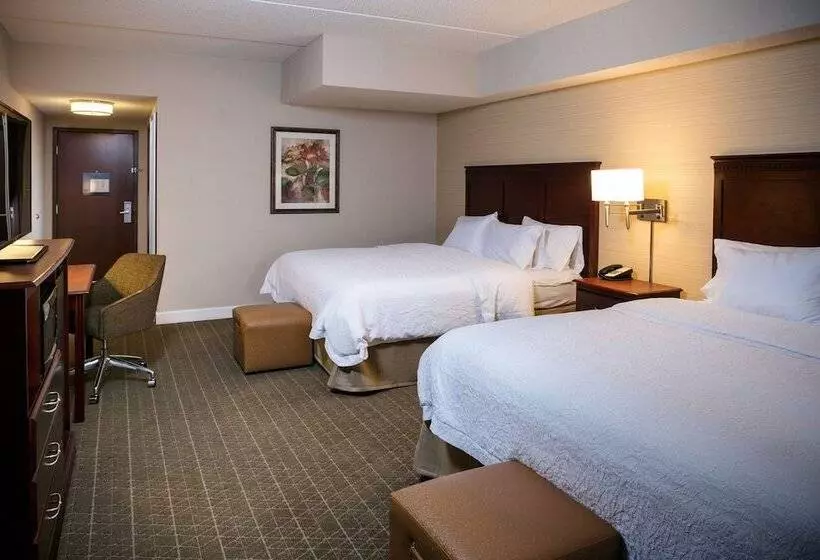 スタンダードルーム, Hampton Inn & Suites Toledoperrysburg