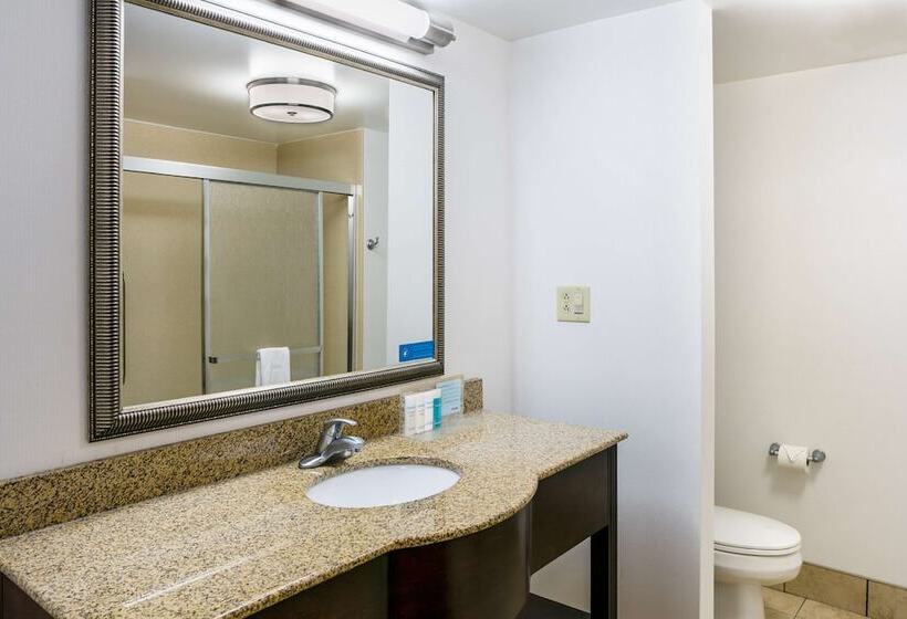 اتاق استاندارد, Hampton Inn & Suites Toledoperrysburg
