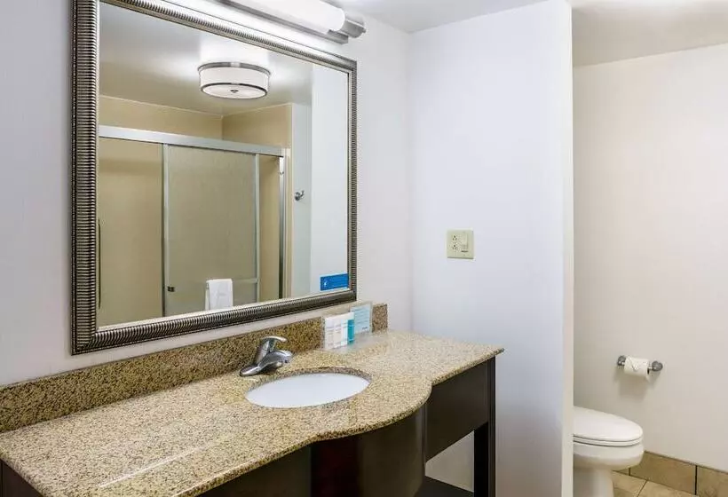 スタンダードルーム, Hampton Inn & Suites Toledoperrysburg