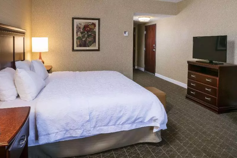 キングサイズベッドのスタンダードルーム, Hampton Inn & Suites Toledoperrysburg
