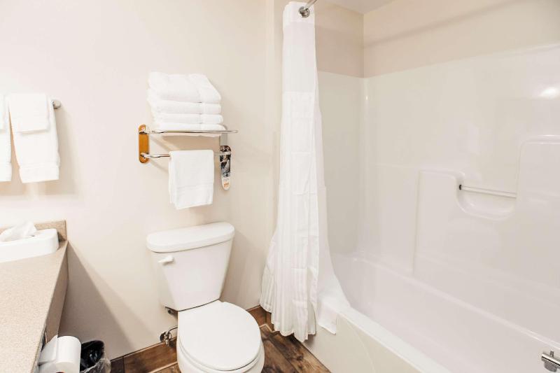 Студия Стандарт, Hampton Inn & Suites Toledoperrysburg