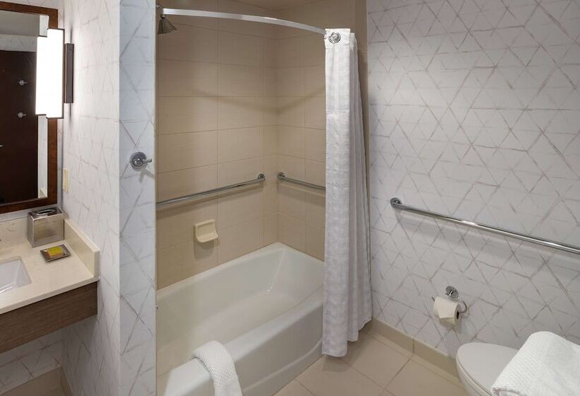 장애인을 위한 스탠다드 룸, Hilton Asheville Biltmore Park