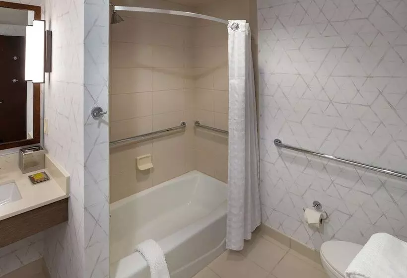 身障者適用スタンダードルーム, Hilton Asheville Biltmore Park