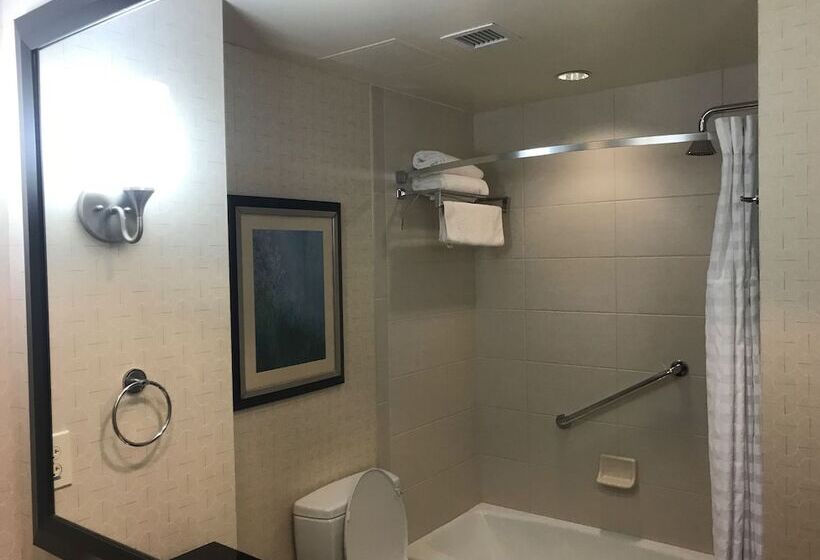 חדר סטנדרט מותאם לאדם עם מוגבלויות, Hilton Asheville Biltmore Park