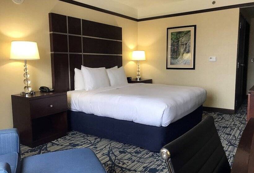 장애인을 위한 스탠다드 룸, Hilton Asheville Biltmore Park