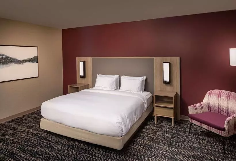 身障者適用スタンダードルーム, Hilton Asheville Biltmore Park