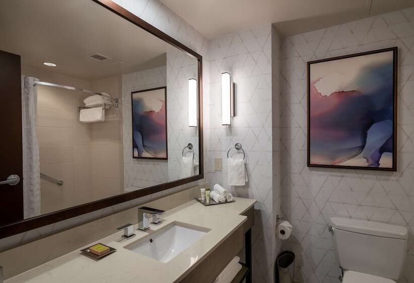 스탠다드 룸, Hilton Asheville Biltmore Park