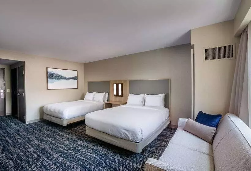 スタンダードルーム, Hilton Asheville Biltmore Park
