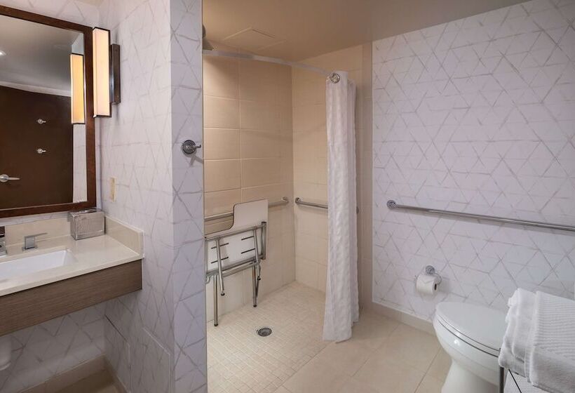 חדר סטנדרט מותאם לאדם עם מוגבלויות, Hilton Asheville Biltmore Park