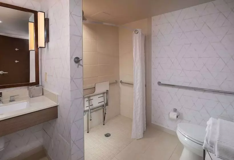 身障者適用スタンダードルーム, Hilton Asheville Biltmore Park