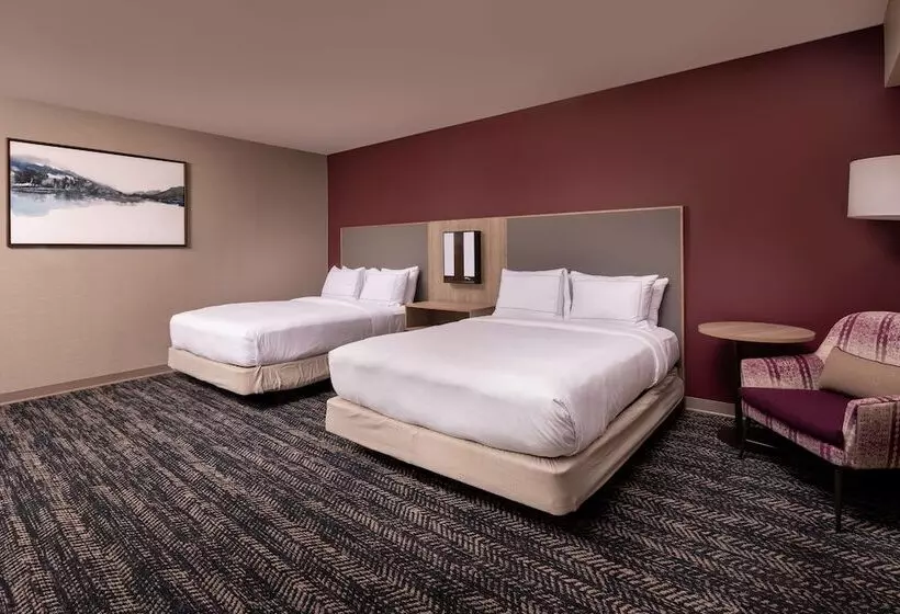 身障者適用スタンダードルーム, Hilton Asheville Biltmore Park