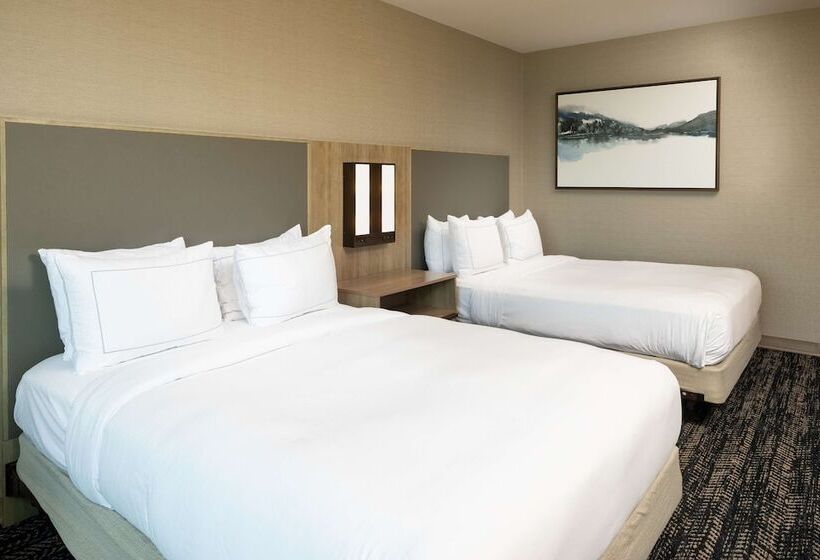 스탠다드 룸 더블 침대 2개, Hilton Asheville Biltmore Park