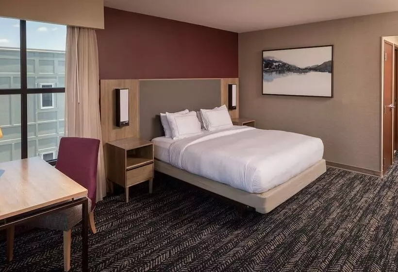ダブルベッドスタンダードルーム, Hilton Asheville Biltmore Park