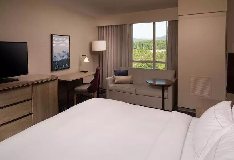 ダブルベッドスタンダードルーム, Hilton Asheville Biltmore Park