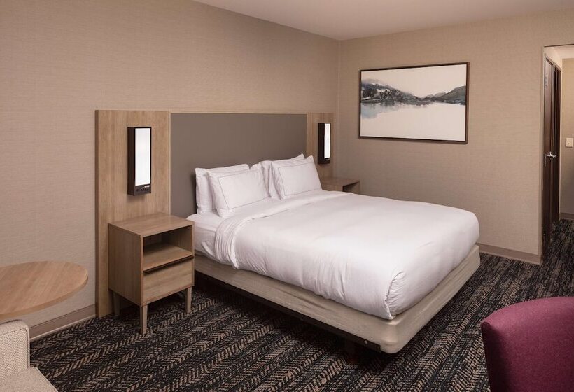 חדר סטנדרט מיטה זוגית, Hilton Asheville Biltmore Park