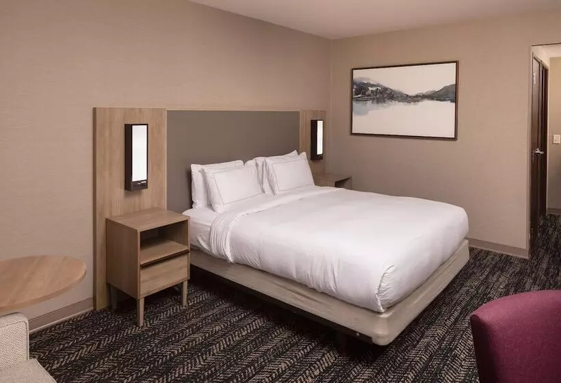 ダブルベッドスタンダードルーム, Hilton Asheville Biltmore Park