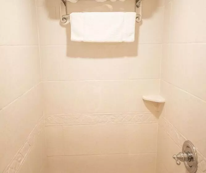 スタンダードルーム, Hilton Garden Inn Birmingham/trussville