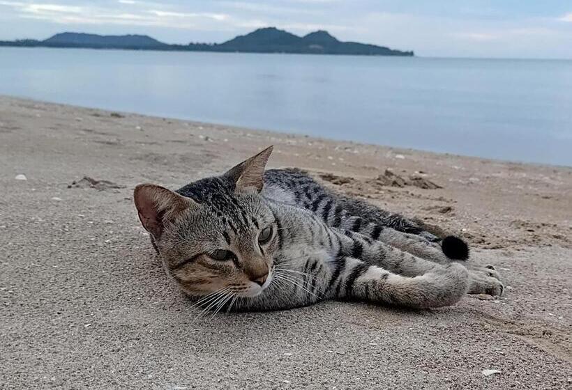 اتاق استاندارد با چشمانداز دریا, Ban Tawansongfa