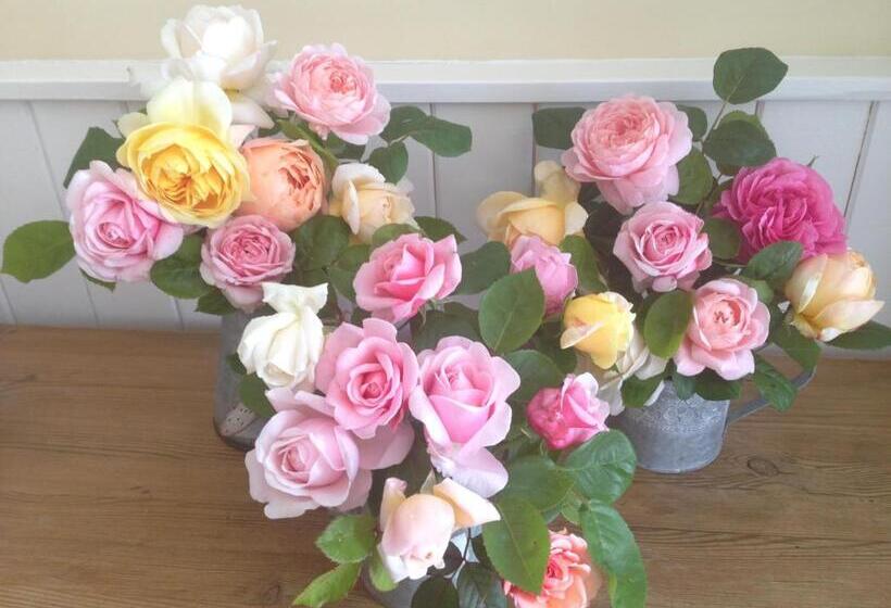 غرفة قياسية, Bay View Guest House